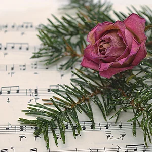 Titelbild für die Veranstaltung Weihnachtlicher Gospelworkshop kirchlich und weltlich, alt und neu
