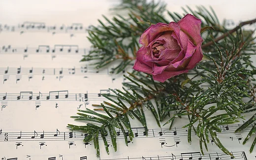 Titelbild für die Veranstaltung Weihnachtlicher Gospelworkshop kirchlich und weltlich, alt und neu
