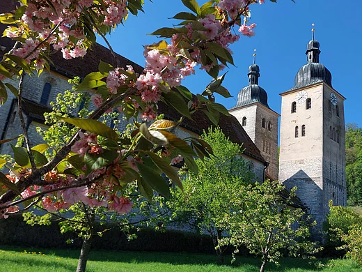 Titelbild für die Veranstaltung Hinter klösterliche Mauern schauen
