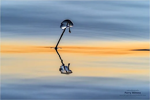 Titelbild für die Veranstaltung Fotospezial minimal: Zen – Haiku – Wabi-Sabi