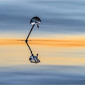 Titelbild für die Veranstaltung Fotospezial minimal: Zen – Haiku – Wabi-Sabi
